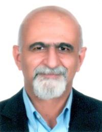 Prof. Yassemi Received Order of Academic Palms